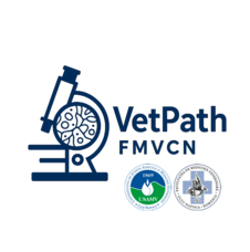 vetpath.usamvcluj.ro